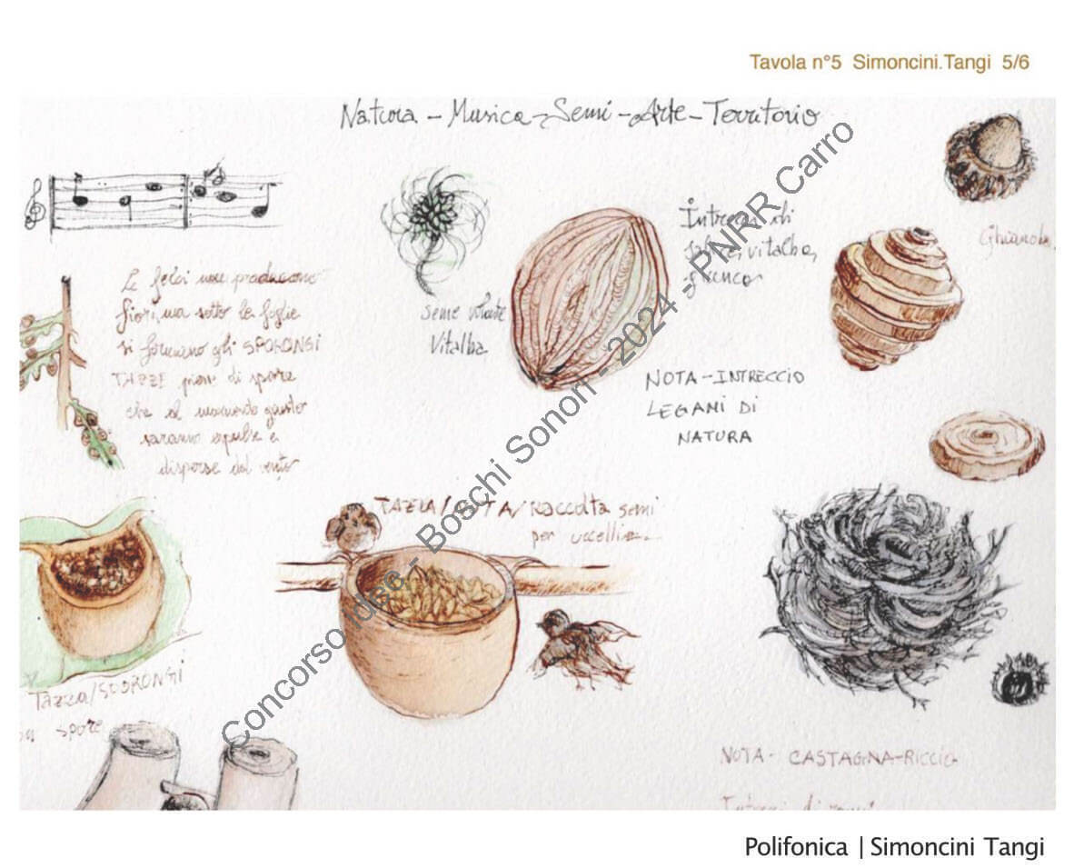 Polifonica | D. Simoncini – P. Tangi